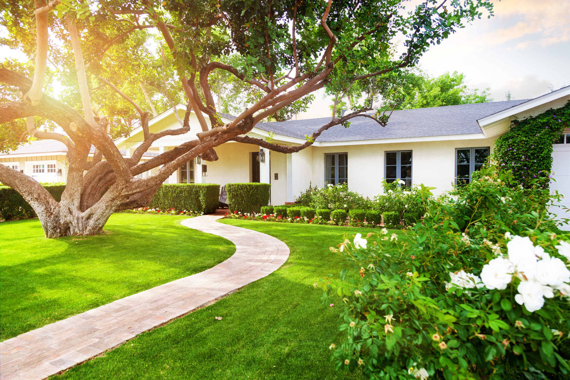 The Benefits of Hiring a Landscape Designer - Home Senator