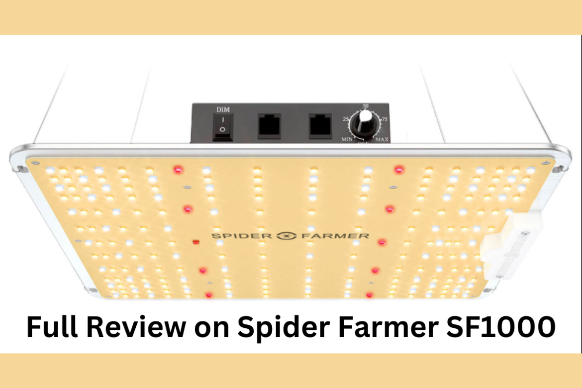 Full Review On Spider Farmer Sf Led Grow Light Home Senator