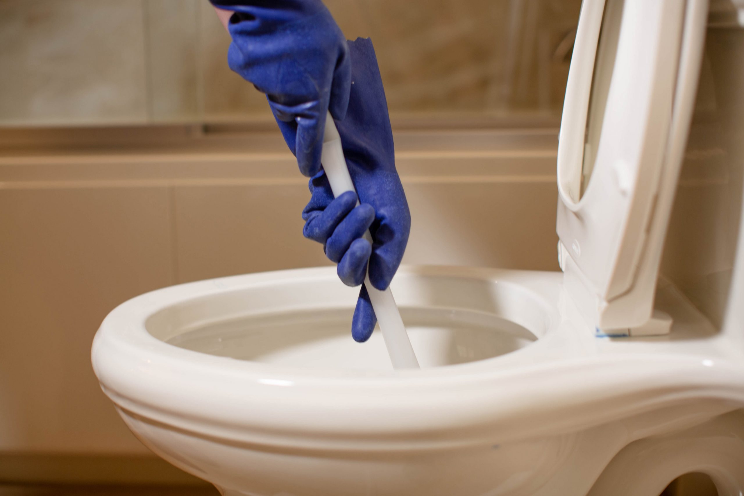 Clogged Toilet, Toilet Flanged or Drain