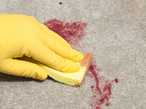carpet stain | Stephani Spitzer | Flickr