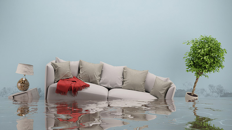 Water Damage: What are the Effects and How to Prevent It