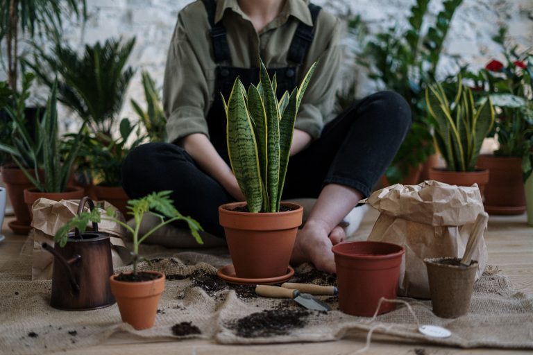 How Can You Test Soil at Home?