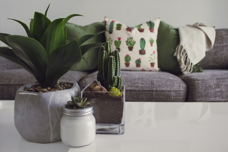 Bringing Life to Your Home: Home Improvement Tips for Incorporating Plants Indoors