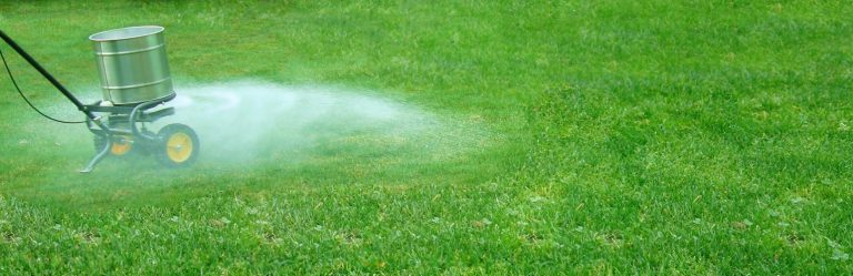 How to Fertilize Your Lawn for Maximum Growth