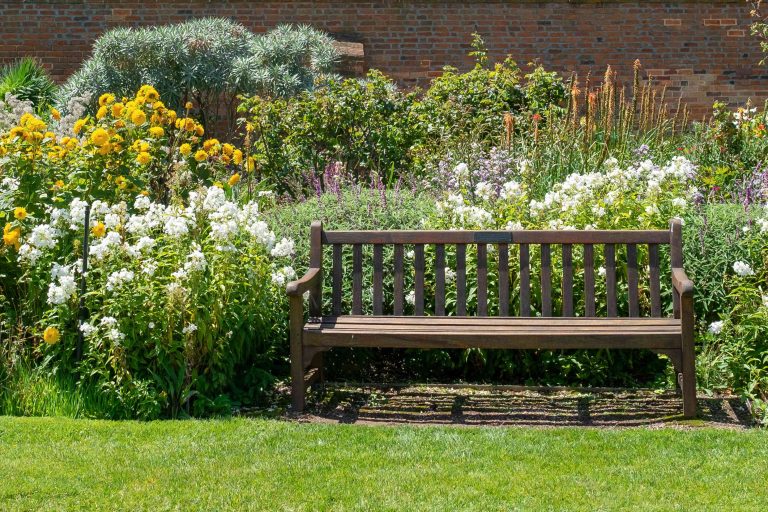 How to Create a Unique Garden: Best Ideas for Your Inspiration
