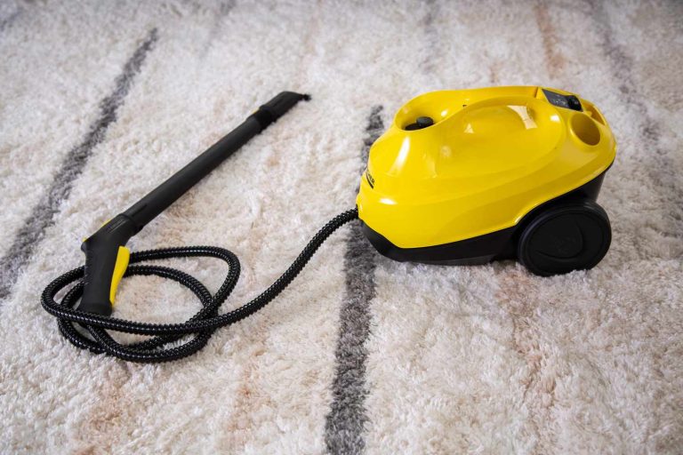 Steam and steam cleaner for different purposes