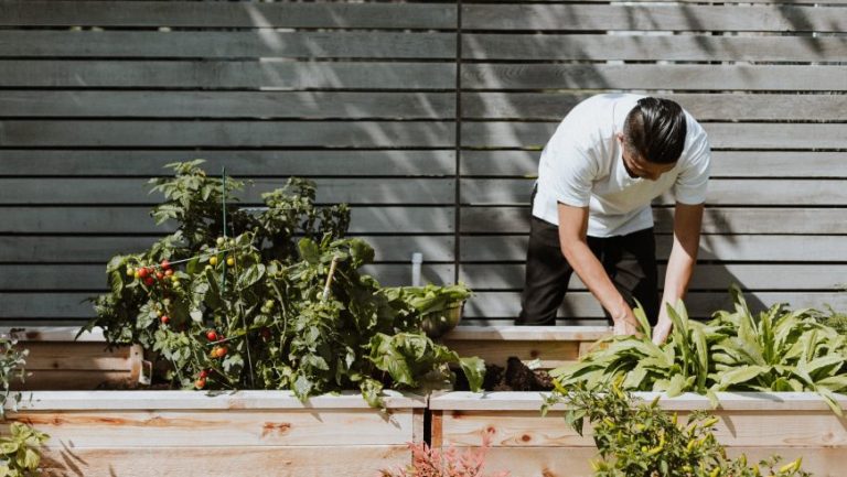 6 Ways to Growing Green and Creating a Sustainable and Zero-Waste Garden