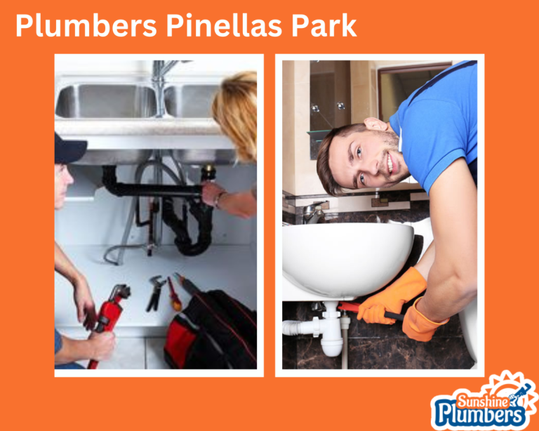 Choosing A Professional Plumber: What You Should Know