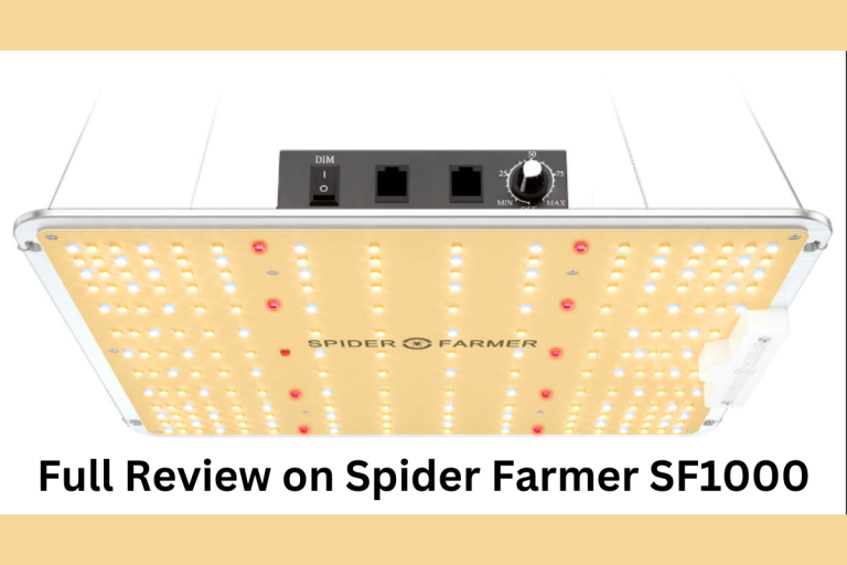 Full Review on Spider Farmer SF1000 LED Grow Light