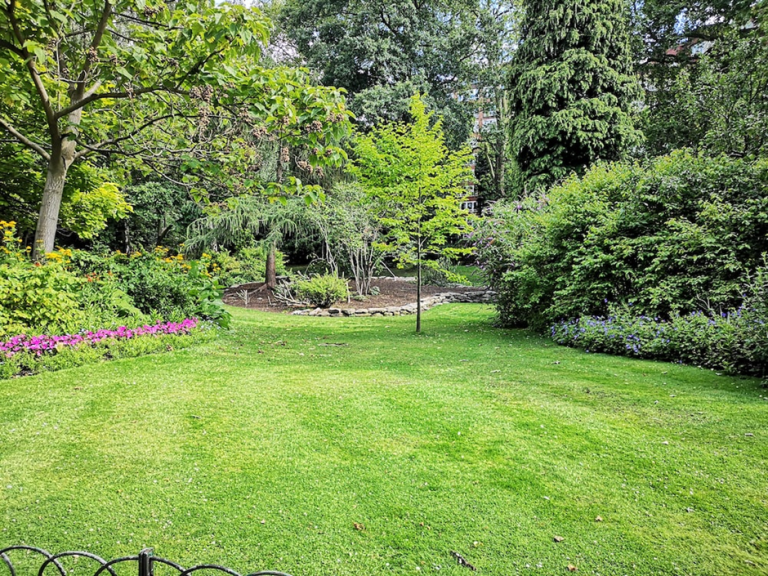5 Backyard Improvements That Increase Home Value