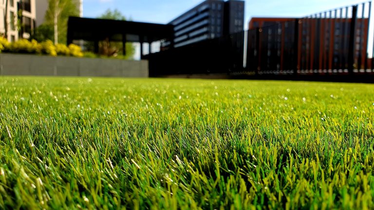 The Benefits of Artificial Grass for Backyard Living
