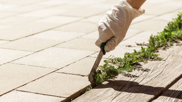 Frustrated by Weeds in Walkways? Here's 8 Ways to Achieve a Pristine Path