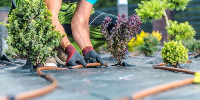 Landscaping with Limited Space? Steer Clear From These 7 Mistakes