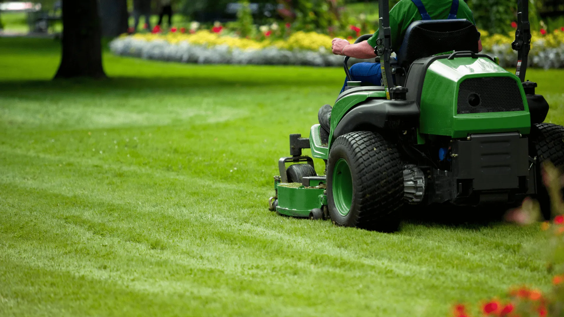 The Benefits of Professional Lawn Care