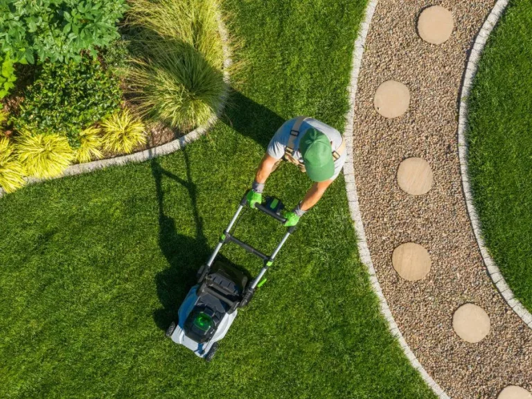 The Value of Investing in Professional Lawn Care Services