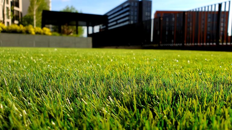 he Benefits of Artificial Grass for Backyard Living