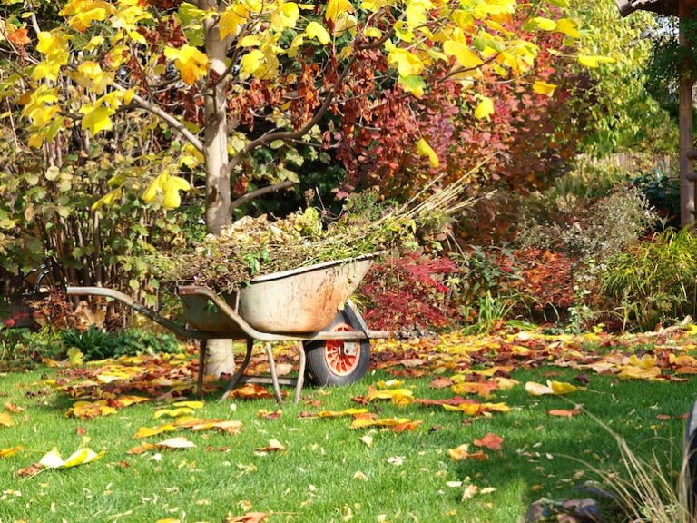 5 Ways to Prepare Your Garden for Autumn