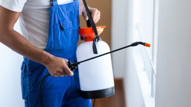 How Often Should You Schedule Pest Control for Your Home?