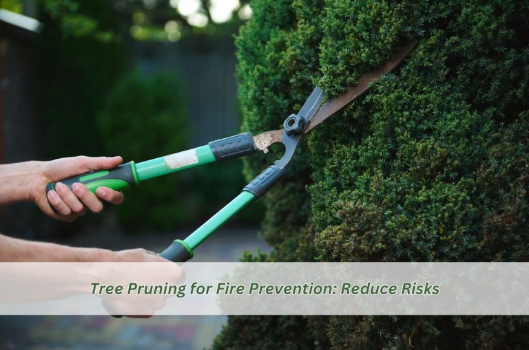 Tree Pruning for Fire Prevention: Reduce Risks