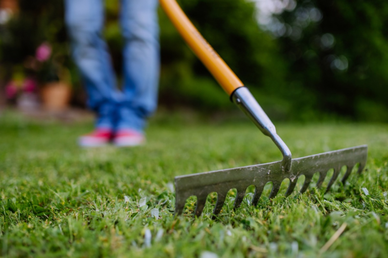 Fresh Start for Your Lawn