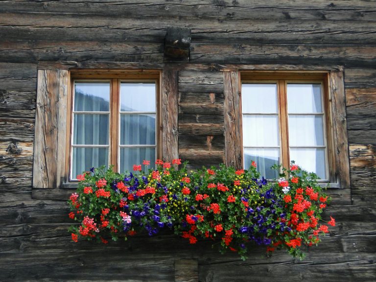 Why Oak Cladding Is a Timeless Choice for Modern and Traditional Homes